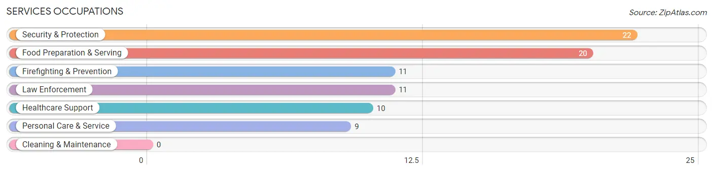 Services Occupations in Steele