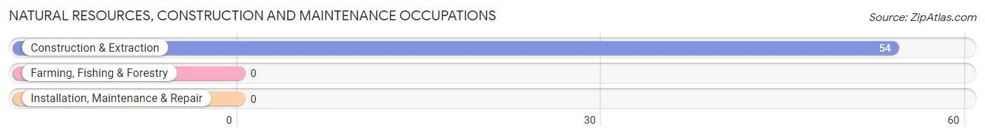 Natural Resources, Construction and Maintenance Occupations in Puget Island