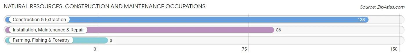 Natural Resources, Construction and Maintenance Occupations in Zip Code 02367