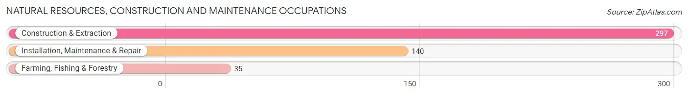 Natural Resources, Construction and Maintenance Occupations in Zip Code 02882