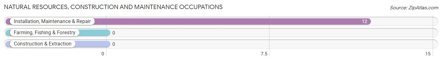 Natural Resources, Construction and Maintenance Occupations in Zip Code 05260