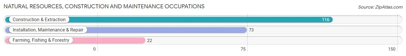 Natural Resources, Construction and Maintenance Occupations in Zip Code 06093