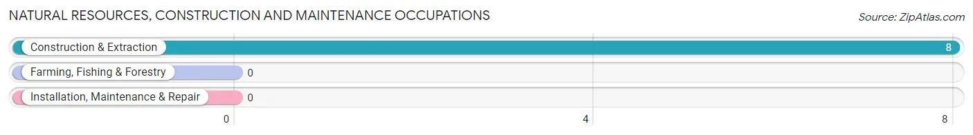 Natural Resources, Construction and Maintenance Occupations in Zip Code 08553