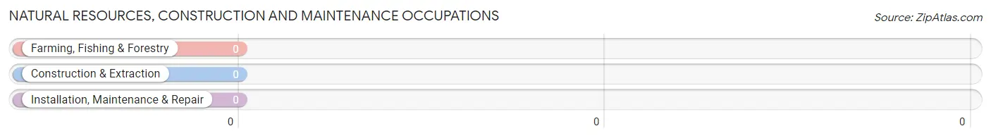Natural Resources, Construction and Maintenance Occupations in Zip Code 08561