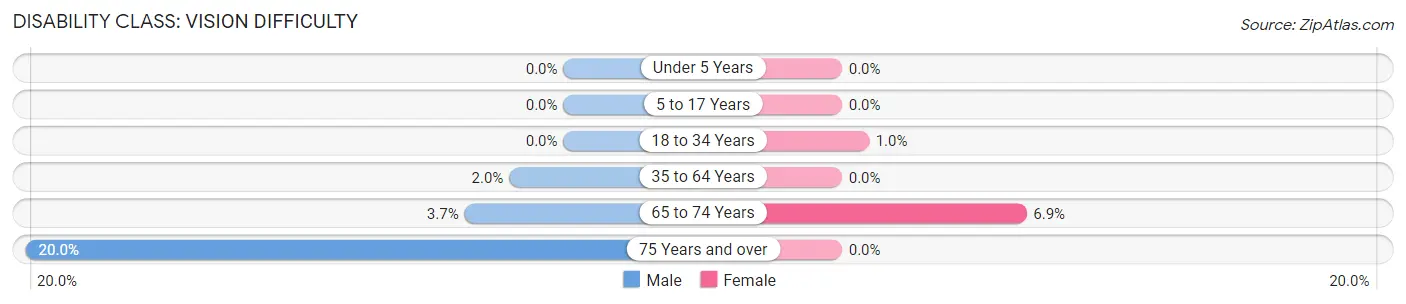 Disability in Zip Code 10307: <span>Vision Difficulty</span>