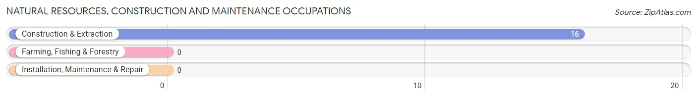 Natural Resources, Construction and Maintenance Occupations in Zip Code 10517