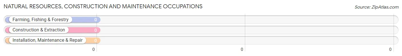 Natural Resources, Construction and Maintenance Occupations in Zip Code 10535
