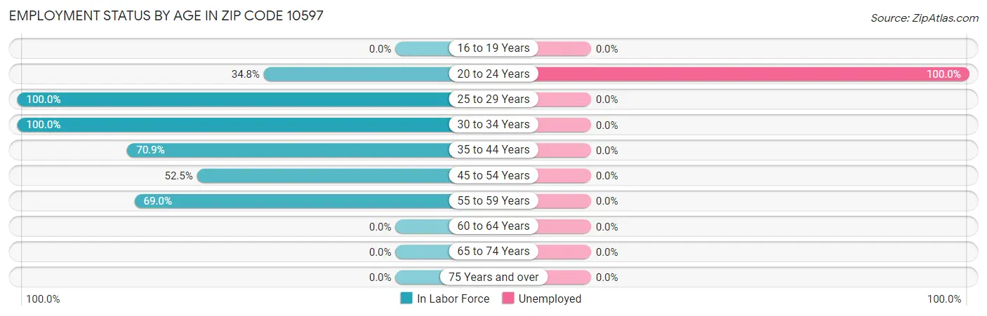 Employment Status by Age in Zip Code 10597