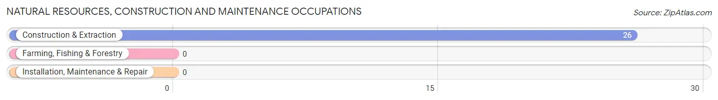 Natural Resources, Construction and Maintenance Occupations in Zip Code 10597