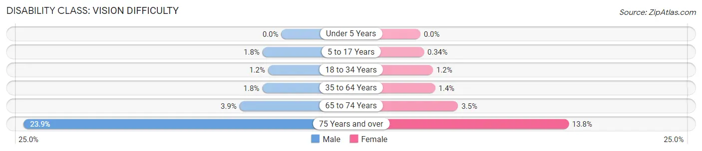 Disability in Zip Code 11412: <span>Vision Difficulty</span>