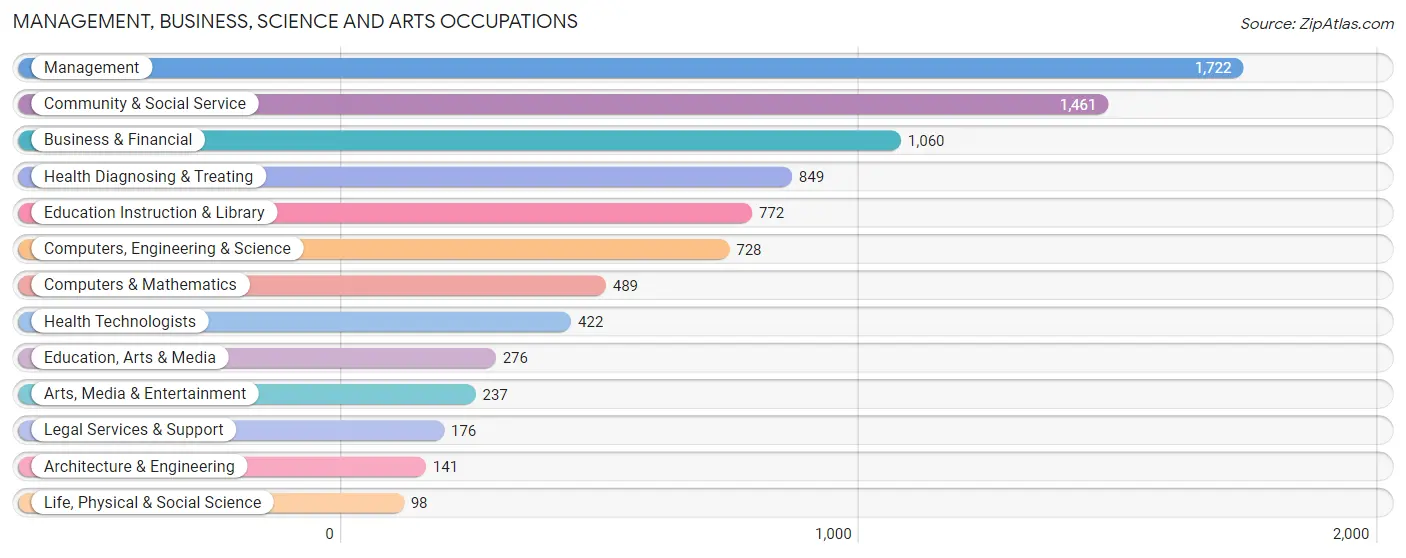 Management, Business, Science and Arts Occupations in Zip Code 11419