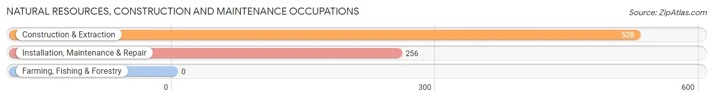 Natural Resources, Construction and Maintenance Occupations in Zip Code 11558