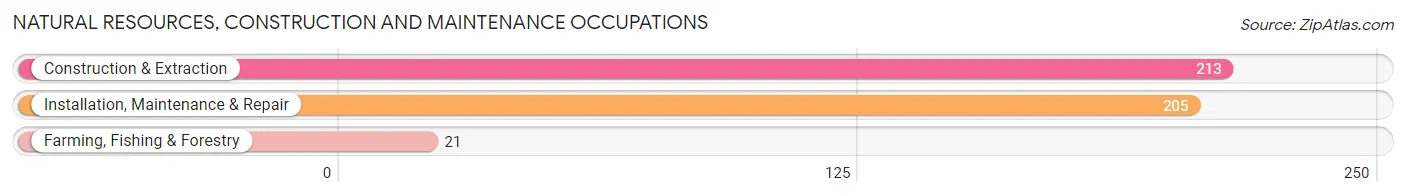 Natural Resources, Construction and Maintenance Occupations in Zip Code 11934