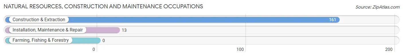Natural Resources, Construction and Maintenance Occupations in Zip Code 11941