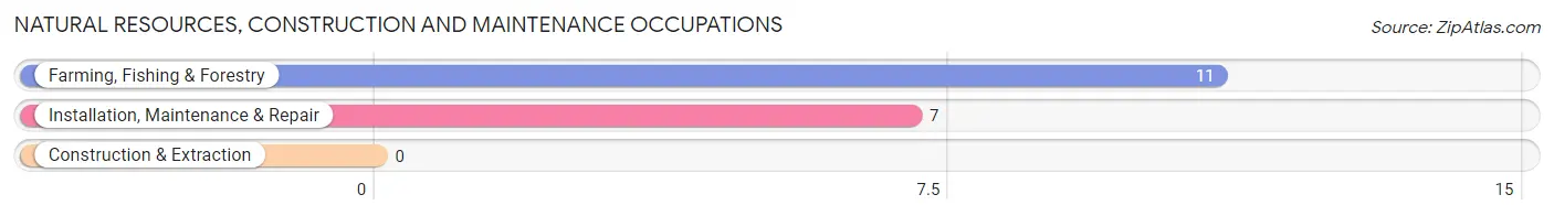 Natural Resources, Construction and Maintenance Occupations in Zip Code 11956