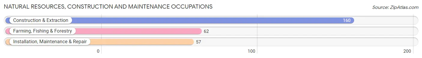 Natural Resources, Construction and Maintenance Occupations in Zip Code 12594