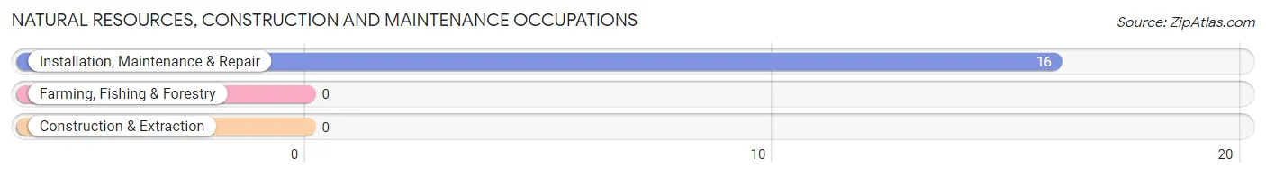 Natural Resources, Construction and Maintenance Occupations in Zip Code 12725