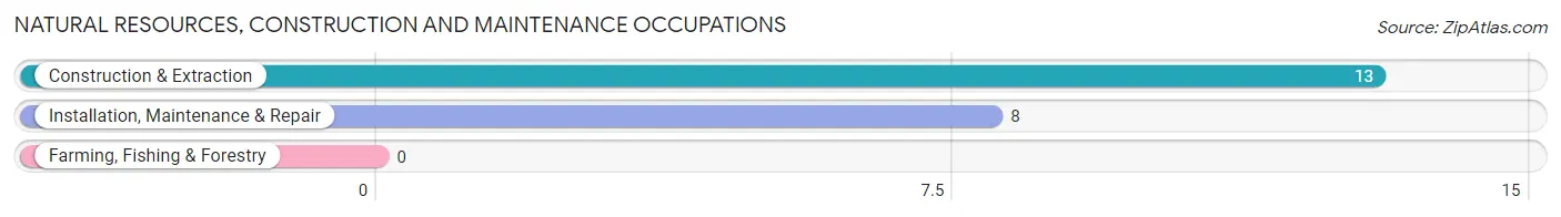 Natural Resources, Construction and Maintenance Occupations in Zip Code 12792