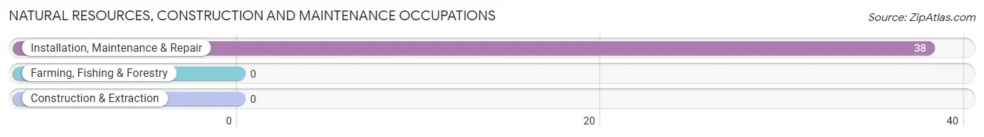 Natural Resources, Construction and Maintenance Occupations in Zip Code 13065