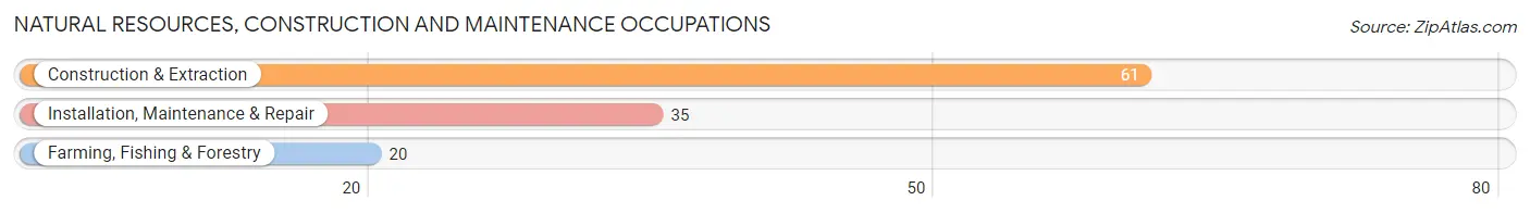 Natural Resources, Construction and Maintenance Occupations in Zip Code 13607