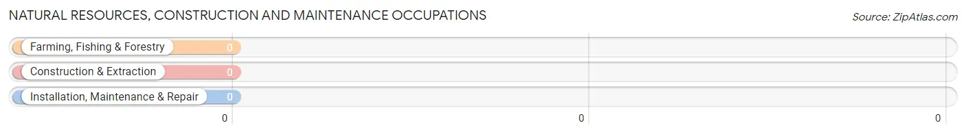 Natural Resources, Construction and Maintenance Occupations in Zip Code 13678