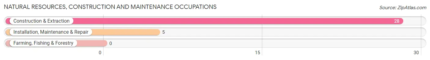 Natural Resources, Construction and Maintenance Occupations in Zip Code 13755