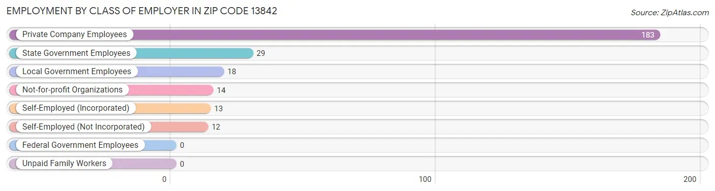 Employment by Class of Employer in Zip Code 13842
