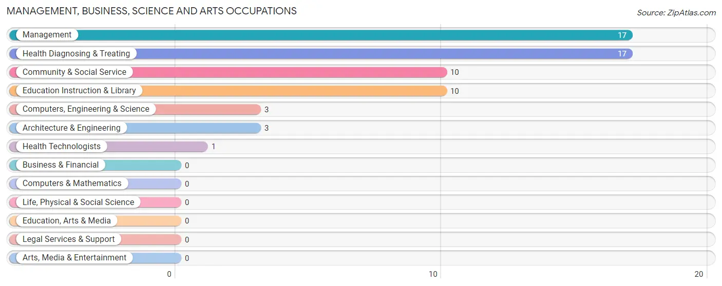 Management, Business, Science and Arts Occupations in Zip Code 13842