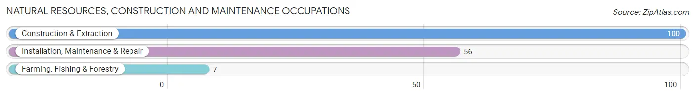 Natural Resources, Construction and Maintenance Occupations in Zip Code 13862