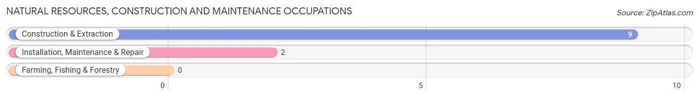 Natural Resources, Construction and Maintenance Occupations in Zip Code 14041