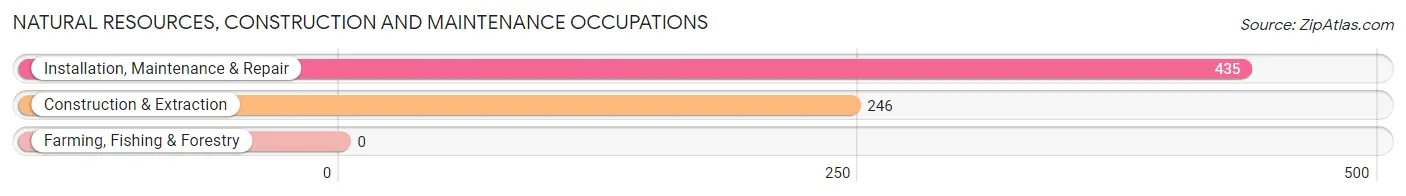 Natural Resources, Construction and Maintenance Occupations in Zip Code 19703