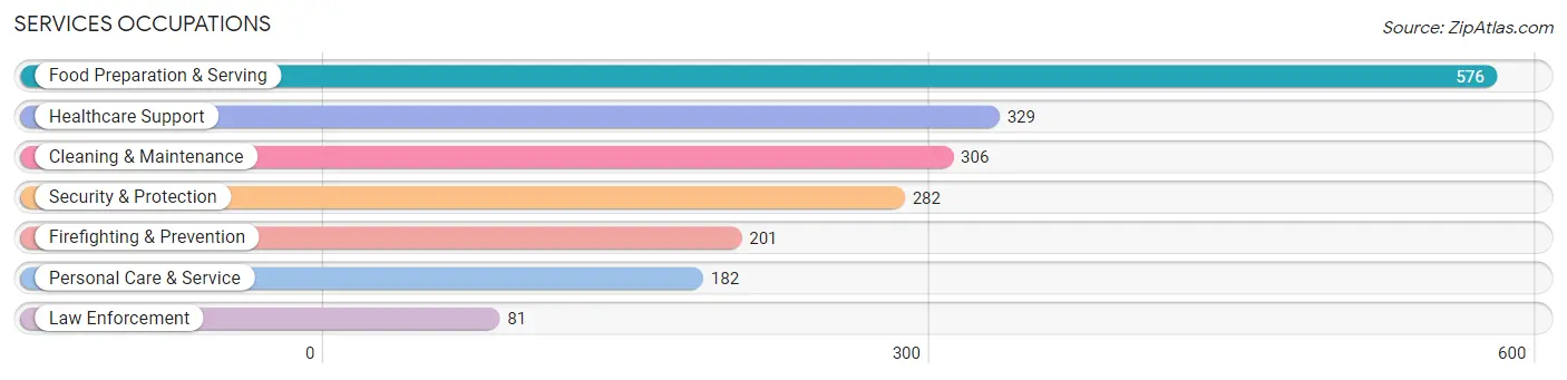 Services Occupations in Zip Code 19703