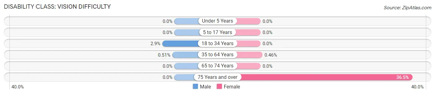 Disability in Zip Code 20841: <span>Vision Difficulty</span>