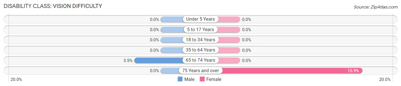 Disability in Zip Code 20842: <span>Vision Difficulty</span>