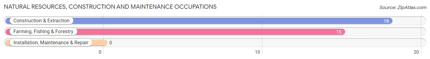 Natural Resources, Construction and Maintenance Occupations in Zip Code 21648