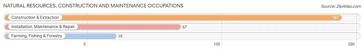 Natural Resources, Construction and Maintenance Occupations in Zip Code 21757