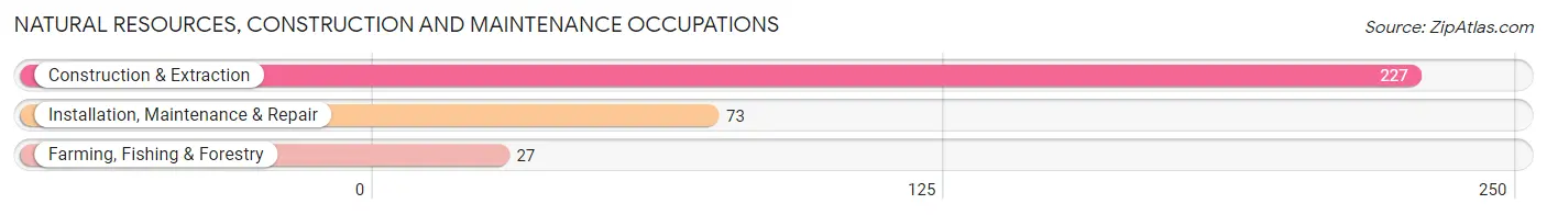Natural Resources, Construction and Maintenance Occupations in Zip Code 24121
