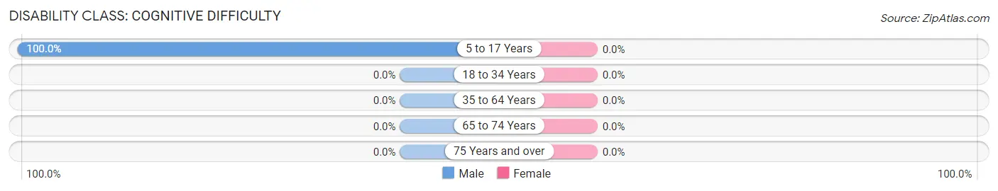 Disability in Zip Code 24132: <span>Cognitive Difficulty</span>