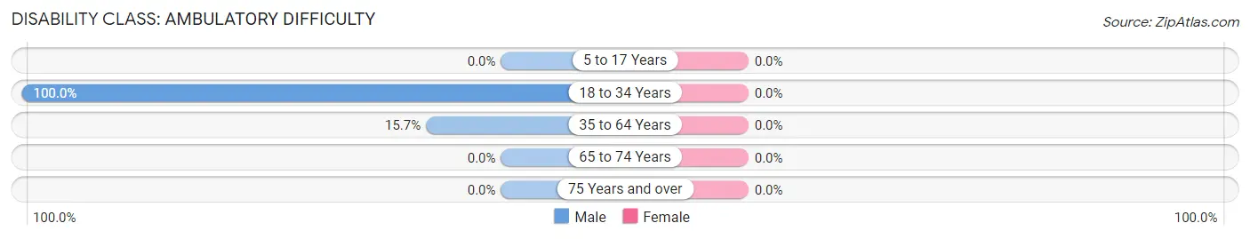 Disability in Zip Code 24811: <span>Ambulatory Difficulty</span>