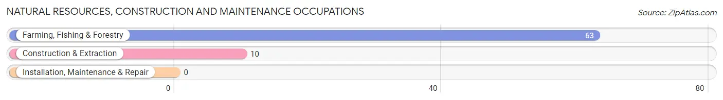 Natural Resources, Construction and Maintenance Occupations in Zip Code 25259