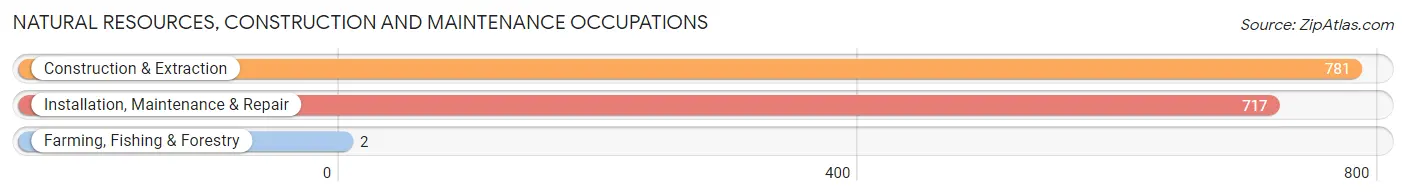 Natural Resources, Construction and Maintenance Occupations in Zip Code 27215