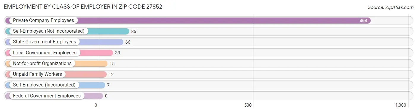 Employment by Class of Employer in Zip Code 27852