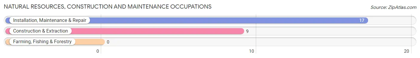 Natural Resources, Construction and Maintenance Occupations in Zip Code 27852