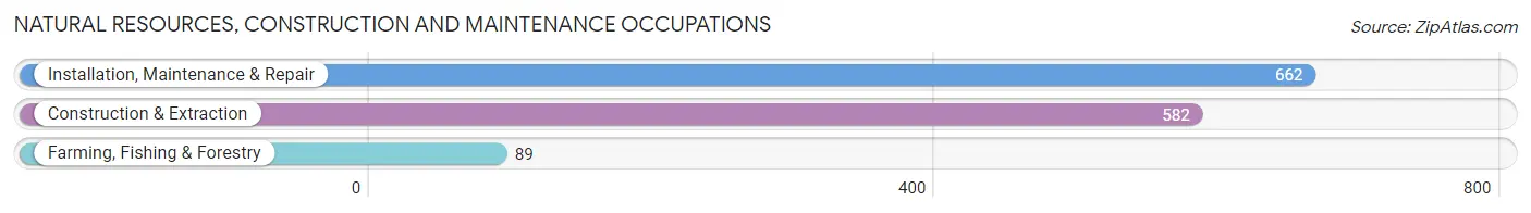 Natural Resources, Construction and Maintenance Occupations in Zip Code 28105