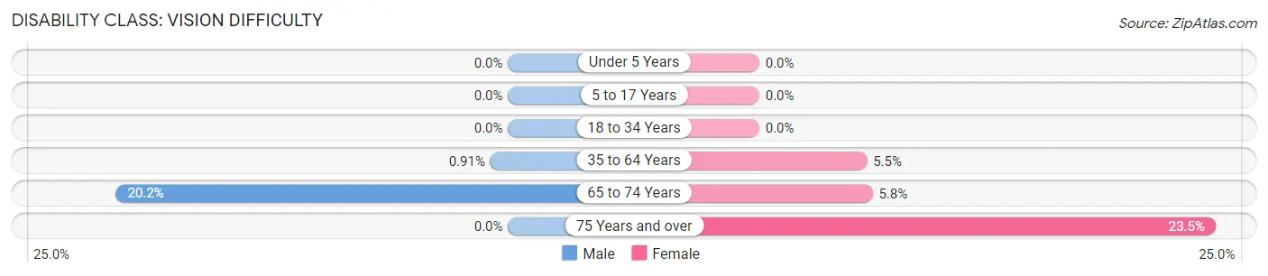 Disability in Zip Code 28119: <span>Vision Difficulty</span>
