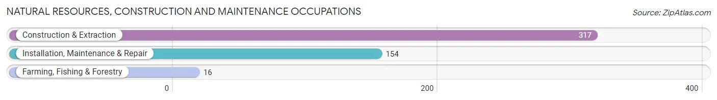 Natural Resources, Construction and Maintenance Occupations in Zip Code 28174