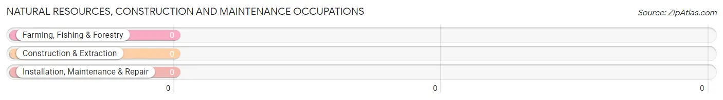 Natural Resources, Construction and Maintenance Occupations in Zip Code 28362