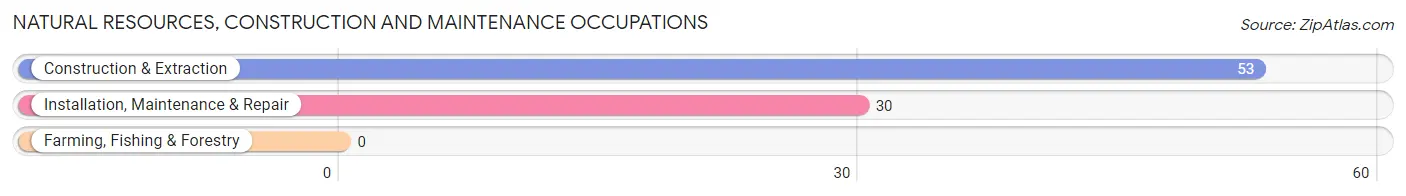 Natural Resources, Construction and Maintenance Occupations in Zip Code 28594