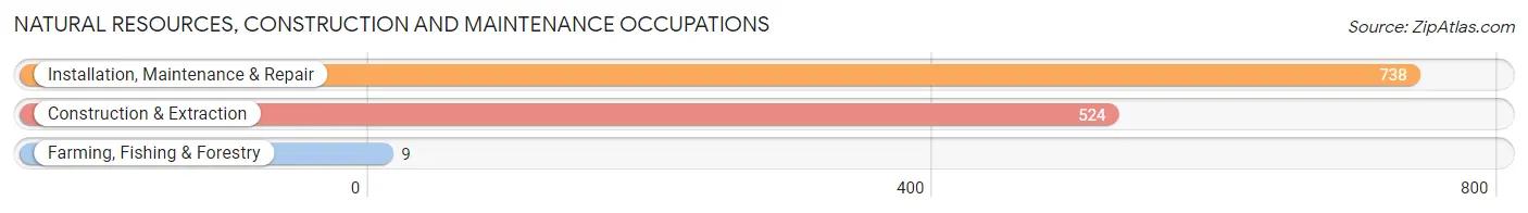Natural Resources, Construction and Maintenance Occupations in Zip Code 28602