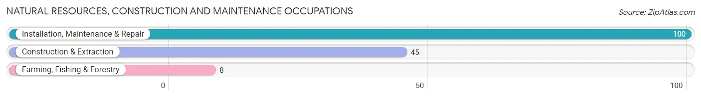 Natural Resources, Construction and Maintenance Occupations in Zip Code 28790